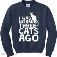 I Was Normal Three Cats Ago LOL Funny Cat Kids Sweatshirt thumb 0