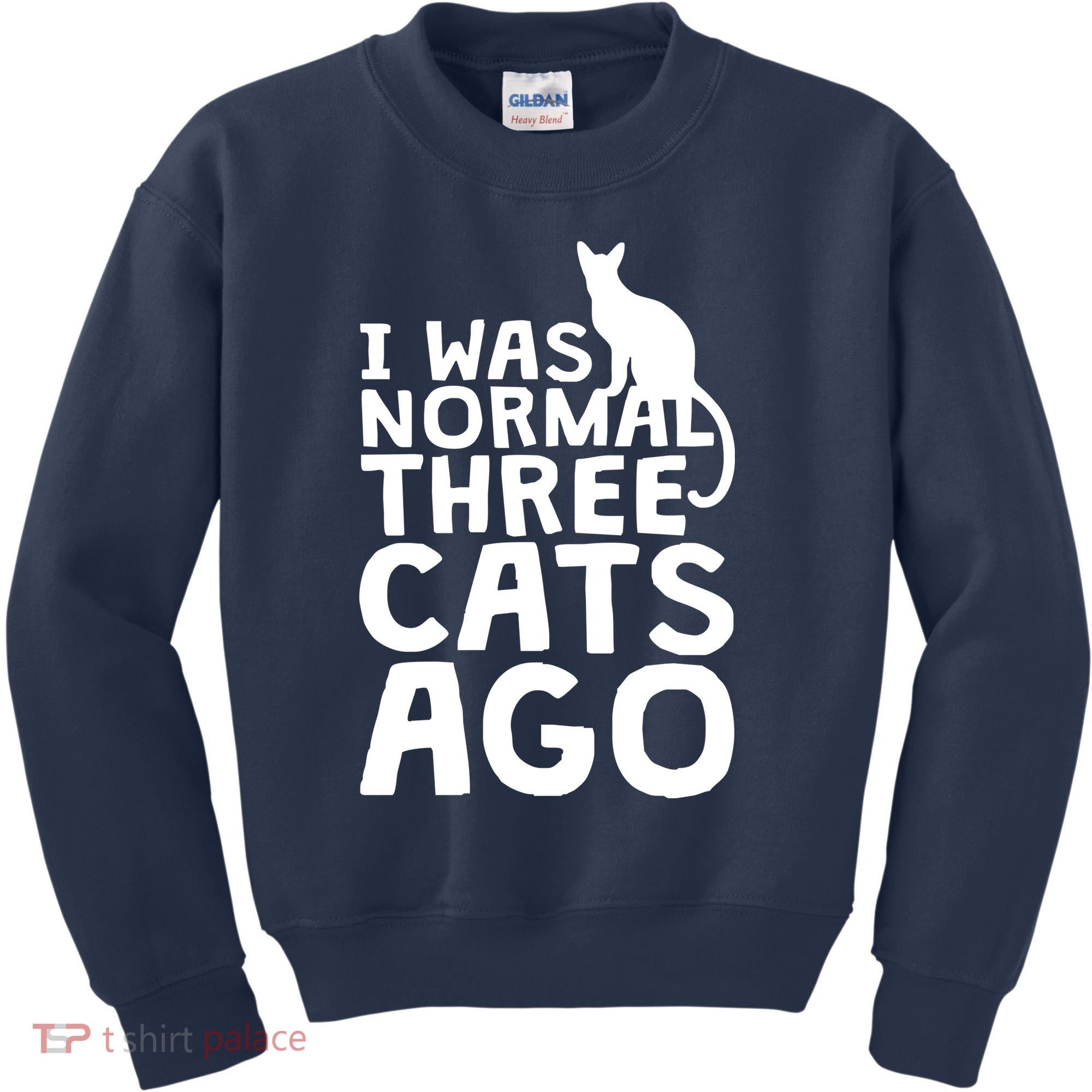 I Was Normal Three Cats Ago LOL Funny Cat Kids Sweatshirt