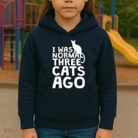 I Was Normal Three Cats Ago LOL Funny Cat Kids Hoodie thumb 3