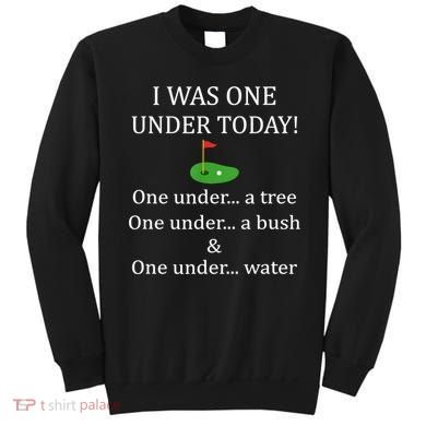 I Was One Under Today, Funny Golf Golfer Lovers Game Tee TShirt Sweatshirt