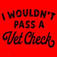 I Wouldnt Pass A Vet Check Funny Vet Humor Sarcastic Riding Santa Hat thumb 1