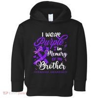 I Wear Purple In Memory For My Brother Overdose Awareness Toddler Hoodie thumb 0