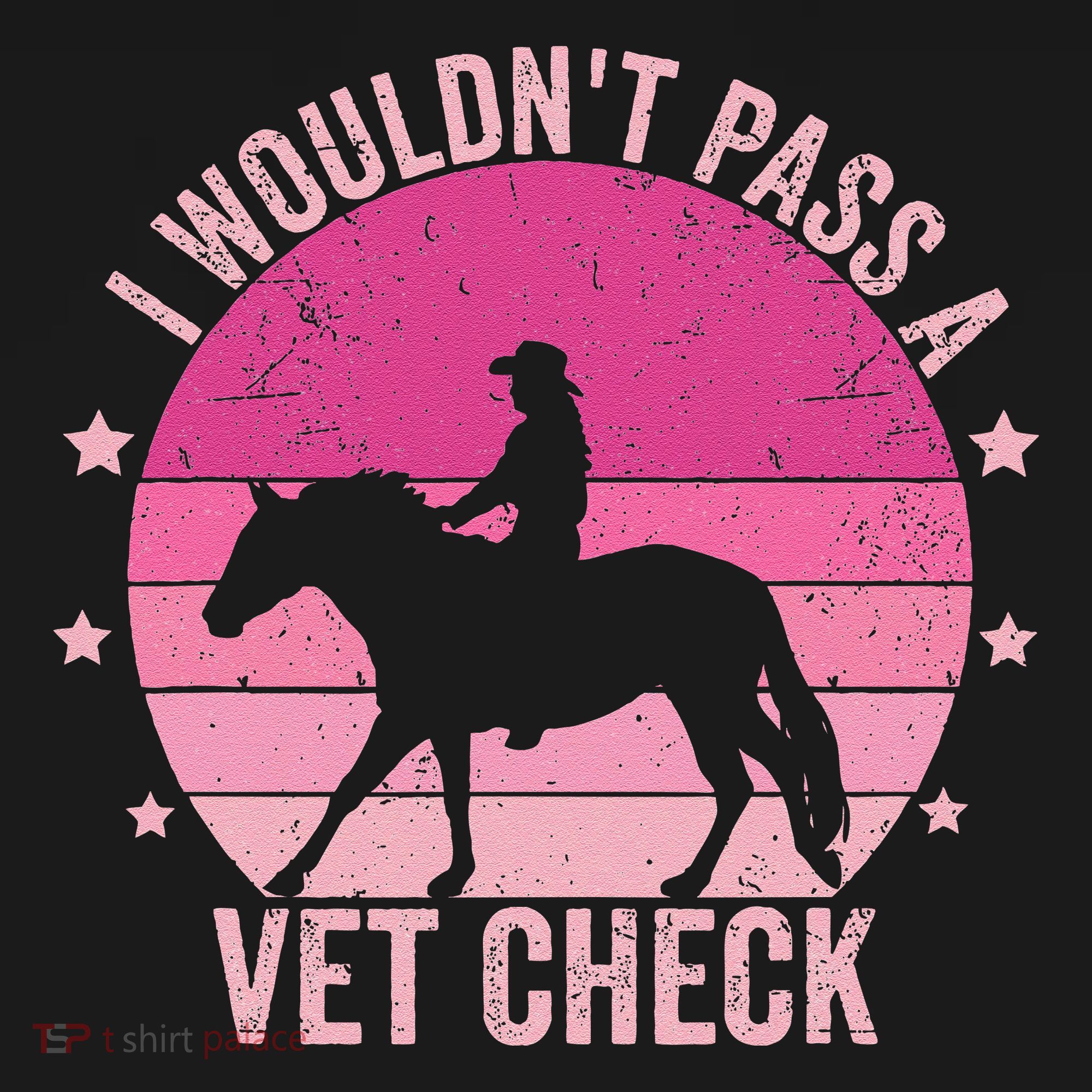 I WouldnT Pass A Vet Check Funny Vet Tech Horse Riding Mom Women's Hoodie
