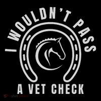 I Wouldnt Pass A Vet Check Kids T-Shirt thumb 4