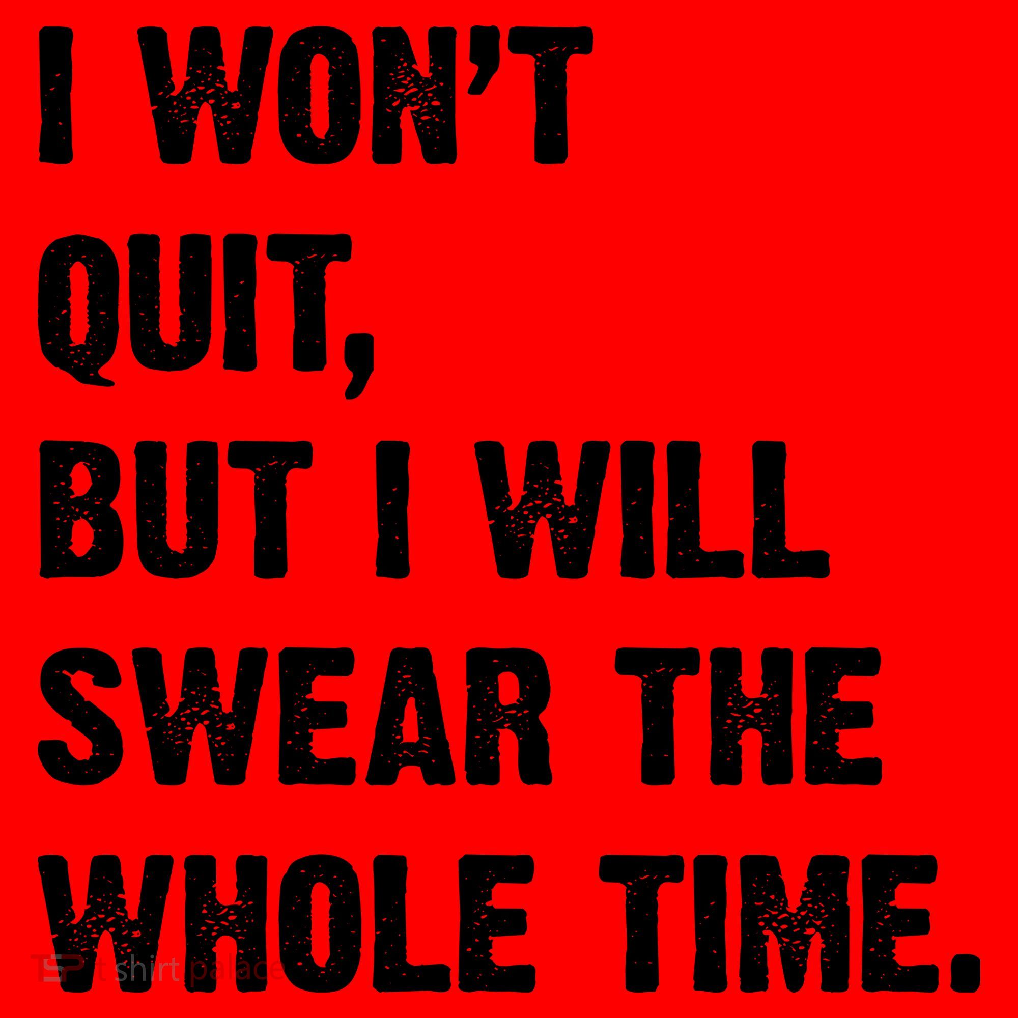 I Won't Quit But I Will Swear The Whole Time Funny Santa Hat