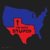 IM With Stupid Texas Map Women Gift Funny America Map Beanie thumb 2