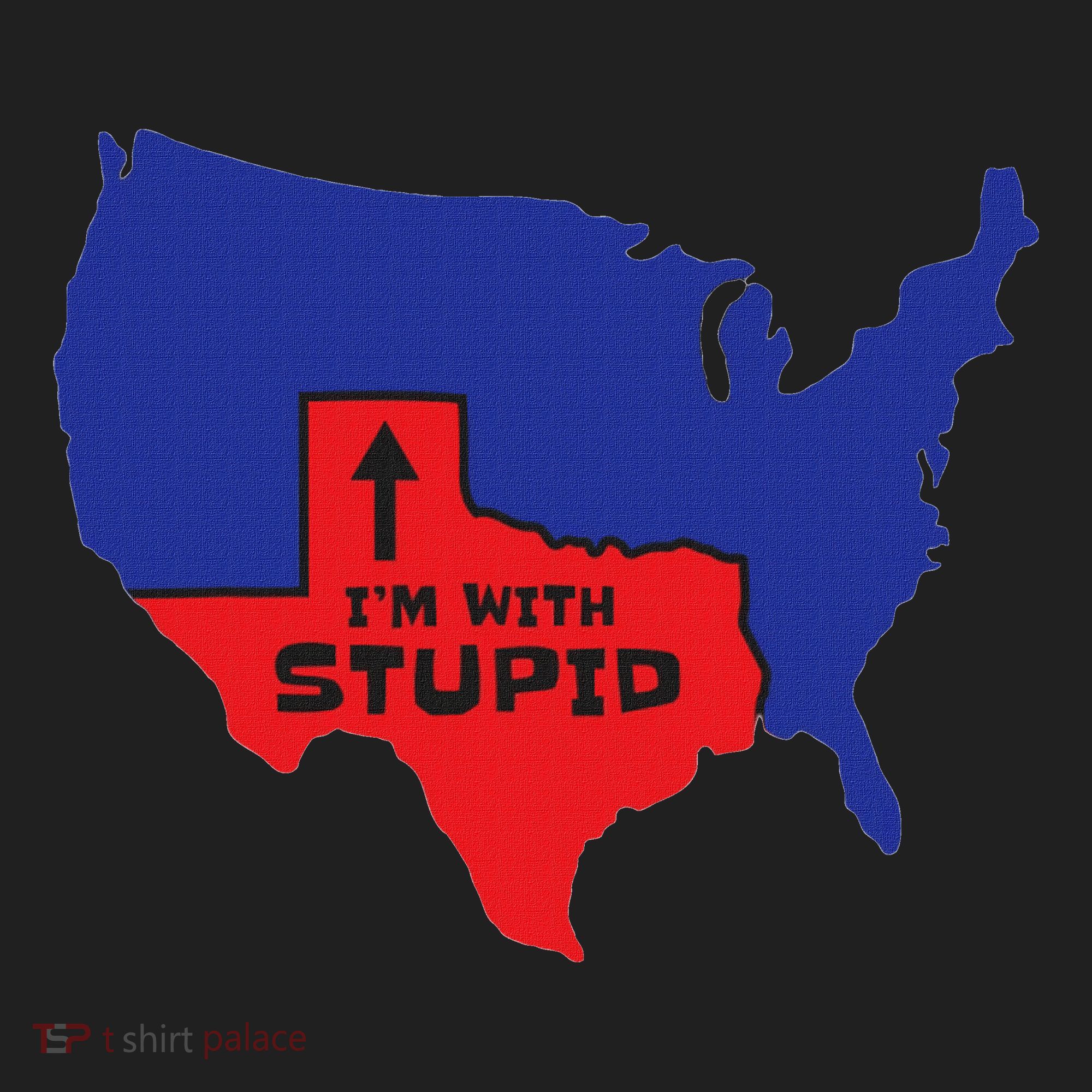 IM With Stupid Texas Map Women Gift Funny America Map Beanie