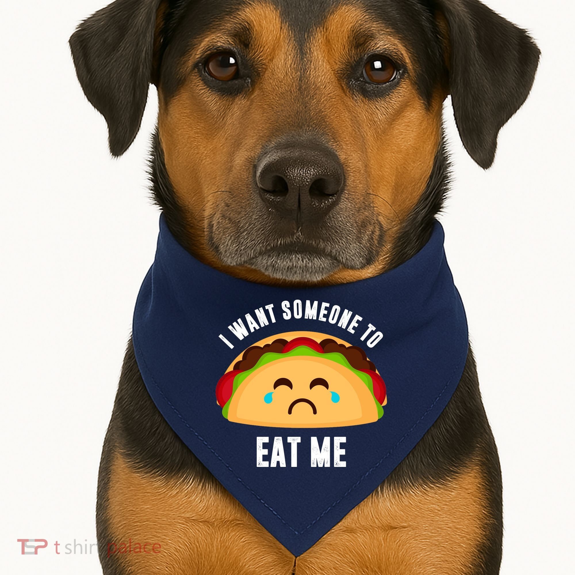 I Want Someone To Eat Me Sad Taco USA-Made Doggie Bandana