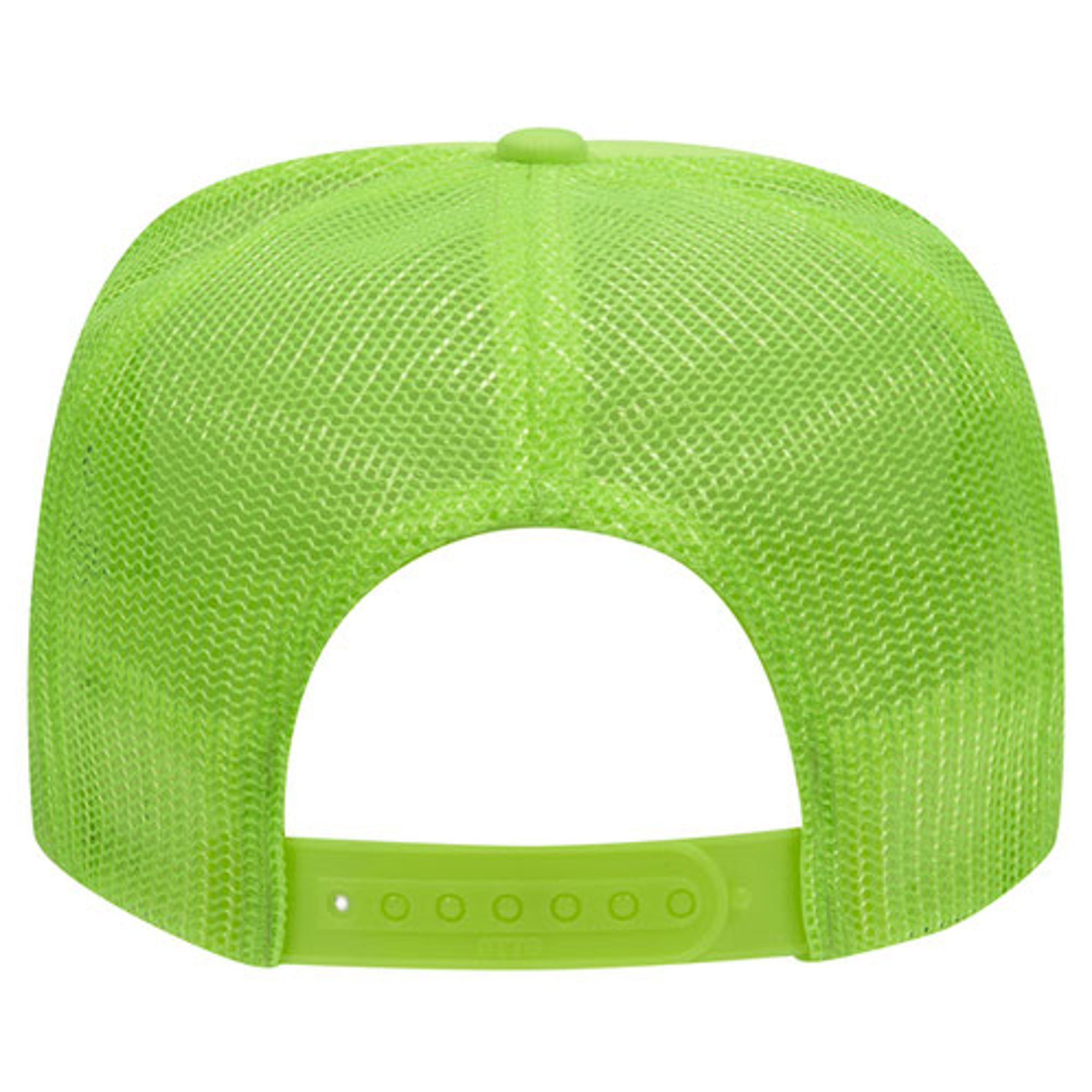 I Will Succeed Because I Am Insane Frog Crocodile Hat