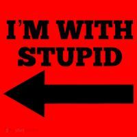 I'm With Stupid Arrow Pointing Left Funny I'm With Stupid Santa Hat thumb 1