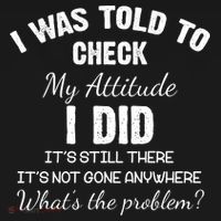 I Was Told To Check My Attitude I Did What's The Problem Ornament thumb 1