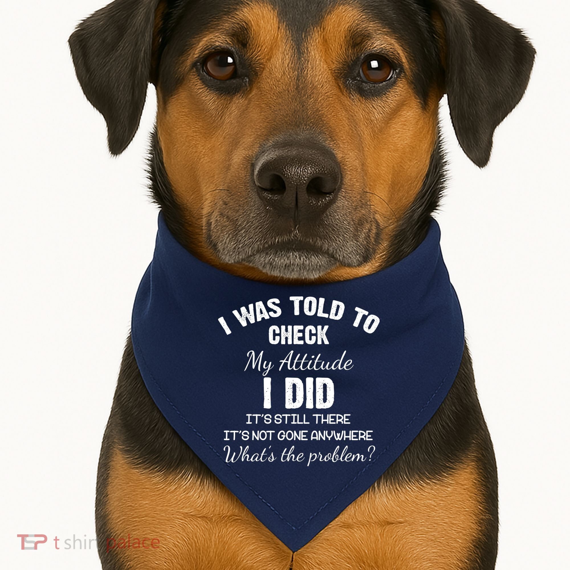 I Was Told To Check My Attitude I Did What's The Problem USA-Made Doggie Bandana