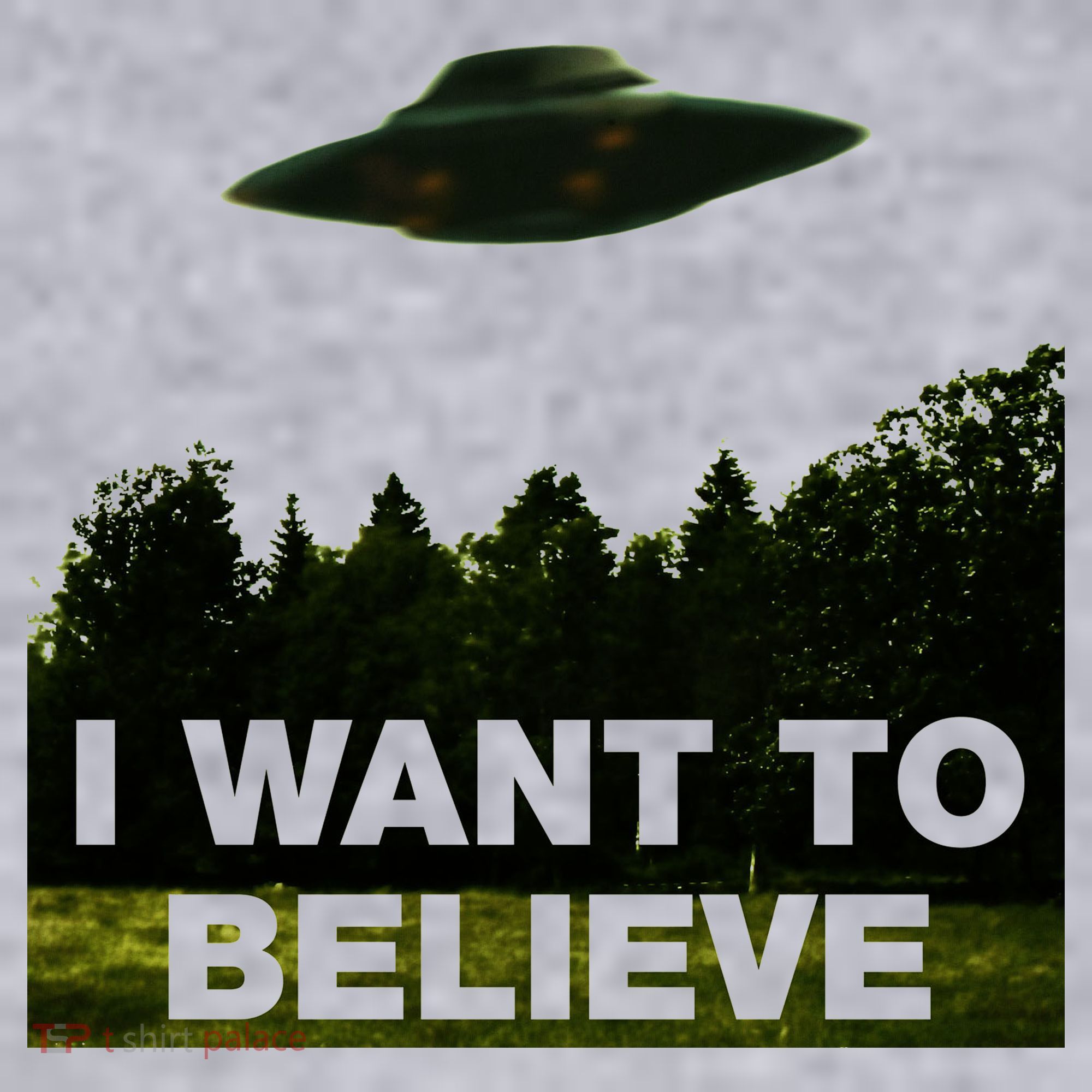 I Want To Believe The XFiles Women's Sweatshirt
