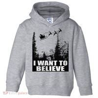 I Want To Believe Funny Christmas Great Gift Toddler Hoodie thumb 0