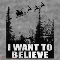 I Want To Believe Funny Christmas Great Gift Toddler Hoodie thumb 2