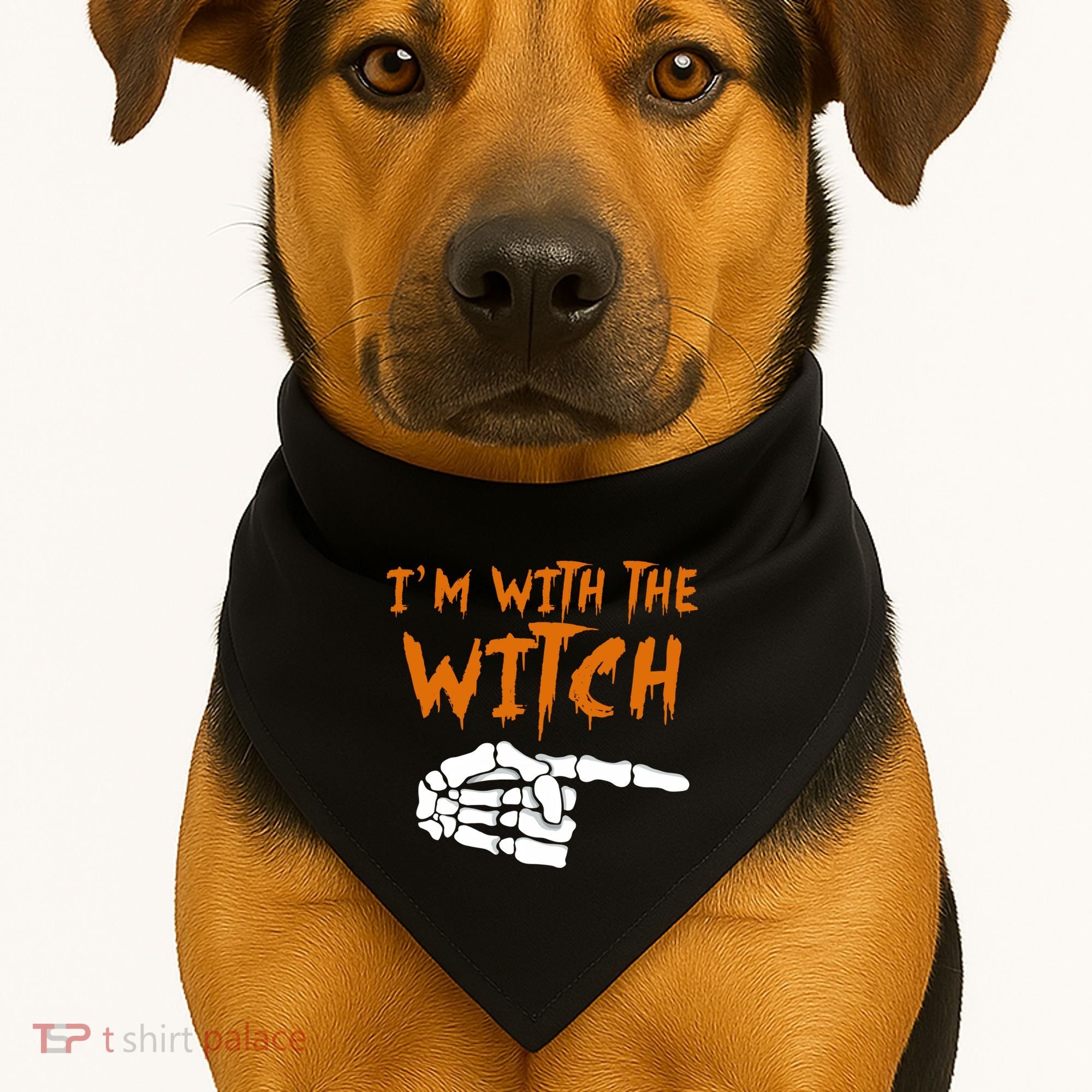 Im With The Witch Funny Matching Halloween Couples Costume Gift USA-Made Doggie Bandana