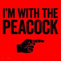 I'm With The Peacock Matching Peacock Shirts Santa Hat thumb 1