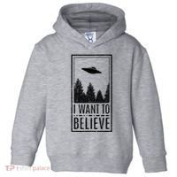 I Want To Believe Ufo Believer Alien Conspiracy Toddler Hoodie thumb 0