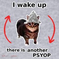 I Wake Up There Is Another Psyop Tin Foil Hat Cat Meme Women's Sweatshirt thumb 2