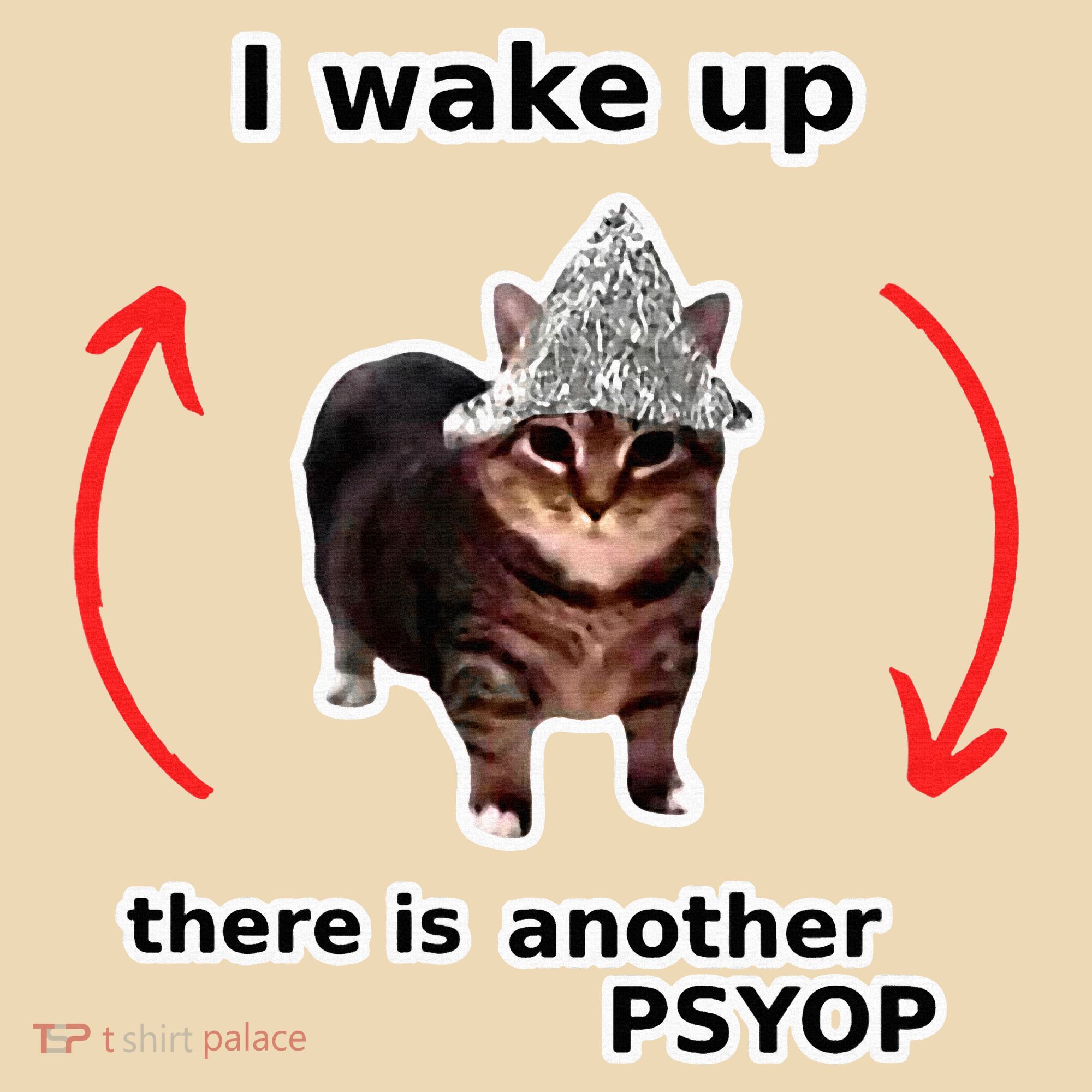 I Wake Up There Is Another Psyop Tin Foil Hat Cat Meme Tote Bag