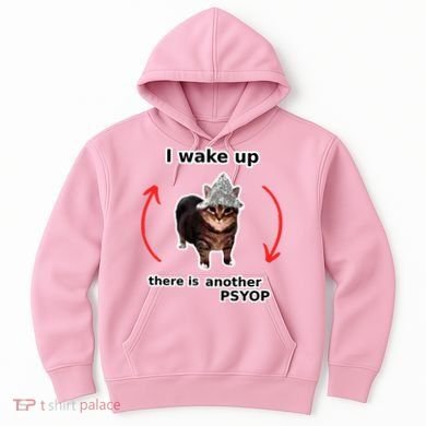 I Wake Up There Is Another Psyop Tin Foil Hat Cat Meme Hoodie