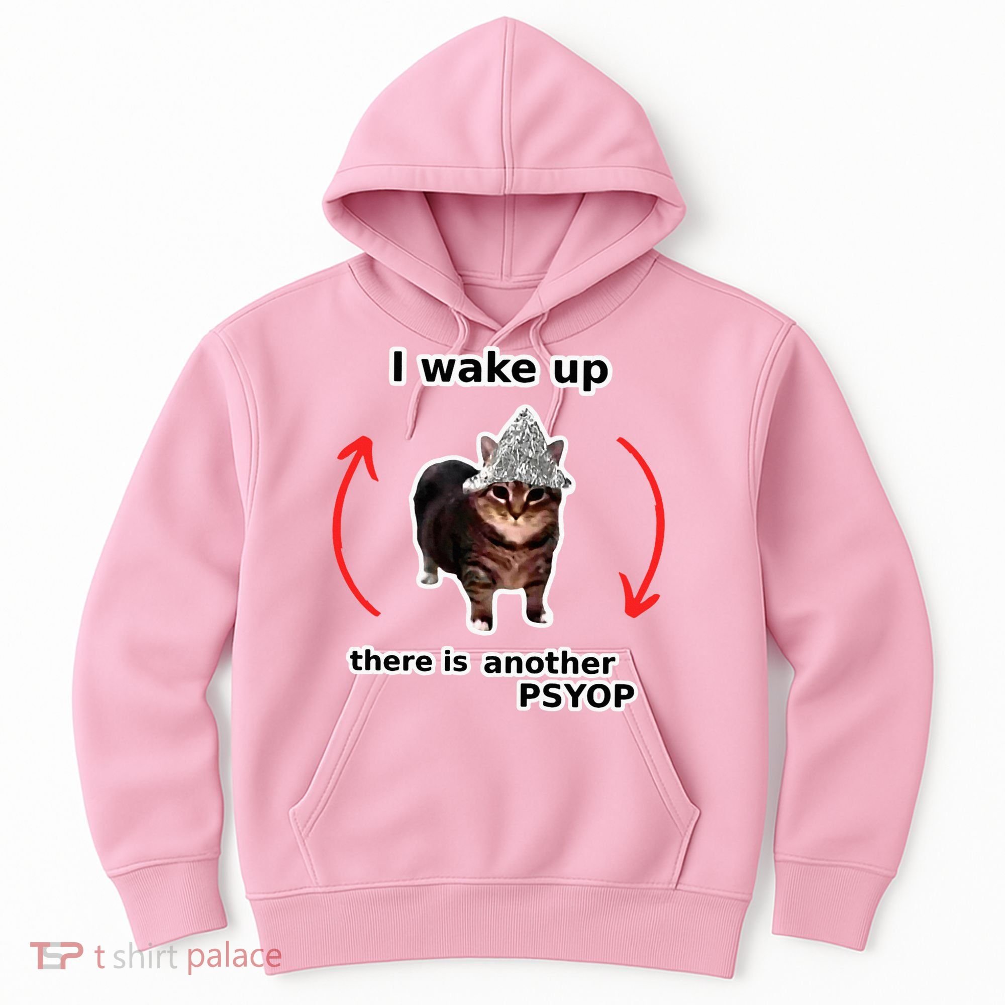 I Wake Up There Is Another Psyop Tin Foil Hat Cat Meme Hoodie