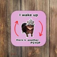 I Wake Up There Is Another Psyop Tin Foil Hat Cat Meme Coaster thumb 0