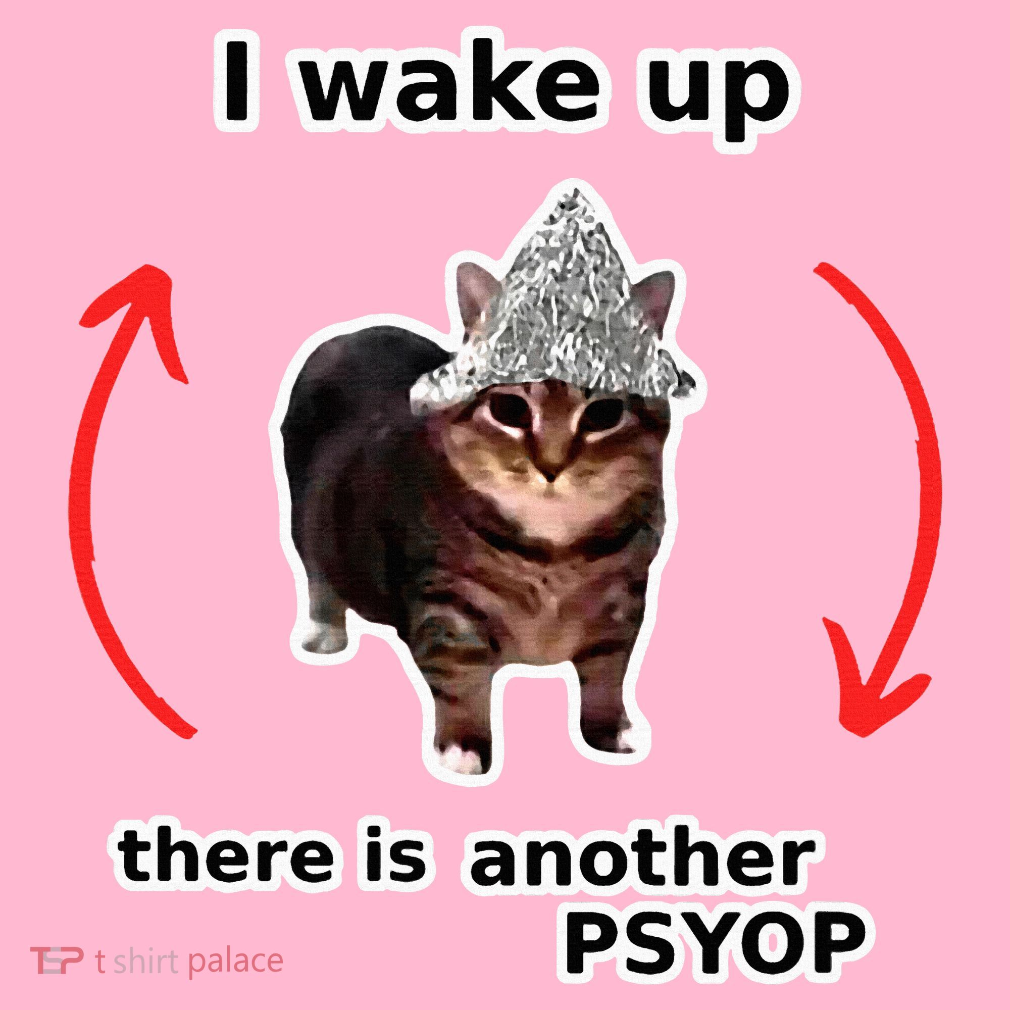 I Wake Up There Is Another Psyop Tin Foil Hat Cat Meme Coaster