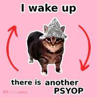 I Wake Up There Is Another Psyop Tin Foil Hat Cat Meme Baby Bodysuit thumb 2