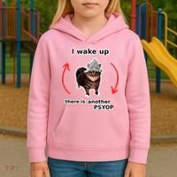 I Wake Up There Is Another Psyop Tin Foil Hat Cat Meme Kids Hoodie thumb 3