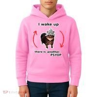 I Wake Up There Is Another Psyop Tin Foil Hat Cat Meme Kids Hoodie thumb 4