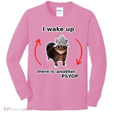 I Wake Up There Is Another Psyop Tin Foil Hat Cat Meme Kids Long Sleeve Shirt