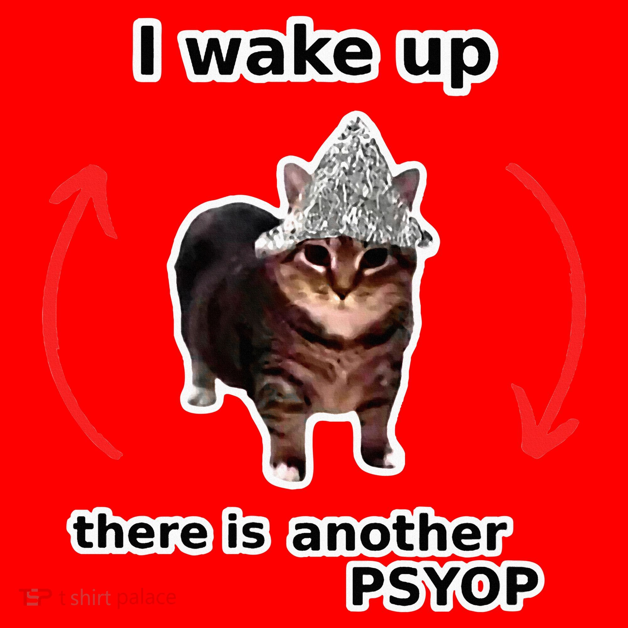 I Wake Up There Is Another Psyop Tin Foil Hat Cat Meme Santa Hat