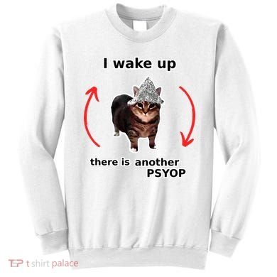 I Wake Up There Is Another Psyop Tin Foil Hat Cat Meme Sweatshirt