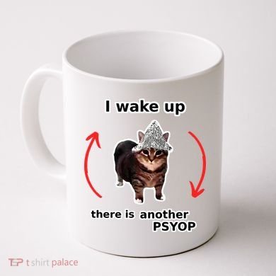 I Wake Up There Is Another Psyop Tin Foil Hat Cat Meme Coffee Mug