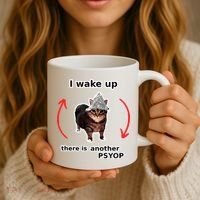 I Wake Up There Is Another Psyop Tin Foil Hat Cat Meme Coffee Mug thumb 3