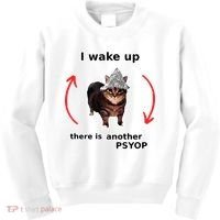 I Wake Up There Is Another Psyop Tin Foil Hat Cat Meme Kids Sweatshirt thumb 0