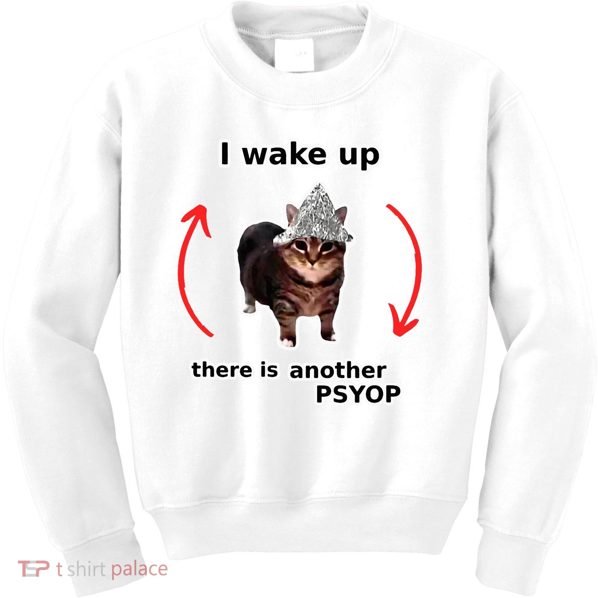 I Wake Up There Is Another Psyop Tin Foil Hat Cat Meme Kids Sweatshirt