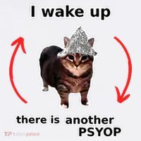 I Wake Up There Is Another Psyop Tin Foil Hat Cat Meme Kids Sweatshirt thumb 2