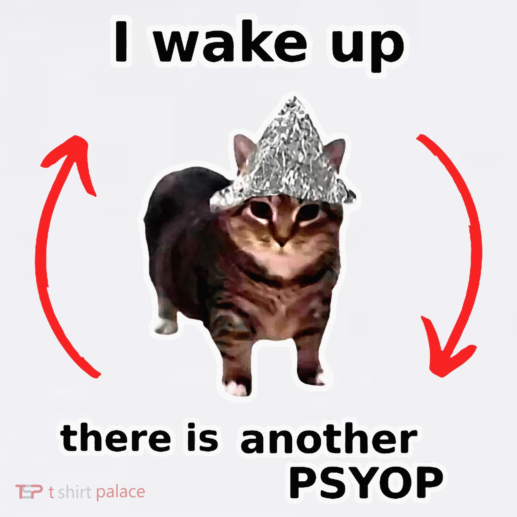 I Wake Up There Is Another Psyop Tin Foil Hat Cat Meme Kids Sweatshirt