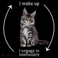 I Wake Up I Engage In Tomfoolery Silly Cat Meme Maine Coon Coffee Mug thumb 5