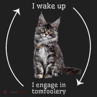 I Wake Up I Engage In Tomfoolery Silly Cat Meme Maine Coon Beanie thumb 2