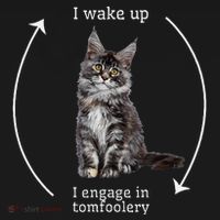 I Wake Up I Engage In Tomfoolery Silly Cat Meme Maine Coon Women's Hoodie thumb 2