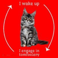 I Wake Up I Engage In Tomfoolery Silly Cat Meme Maine Coon Santa Hat thumb 1