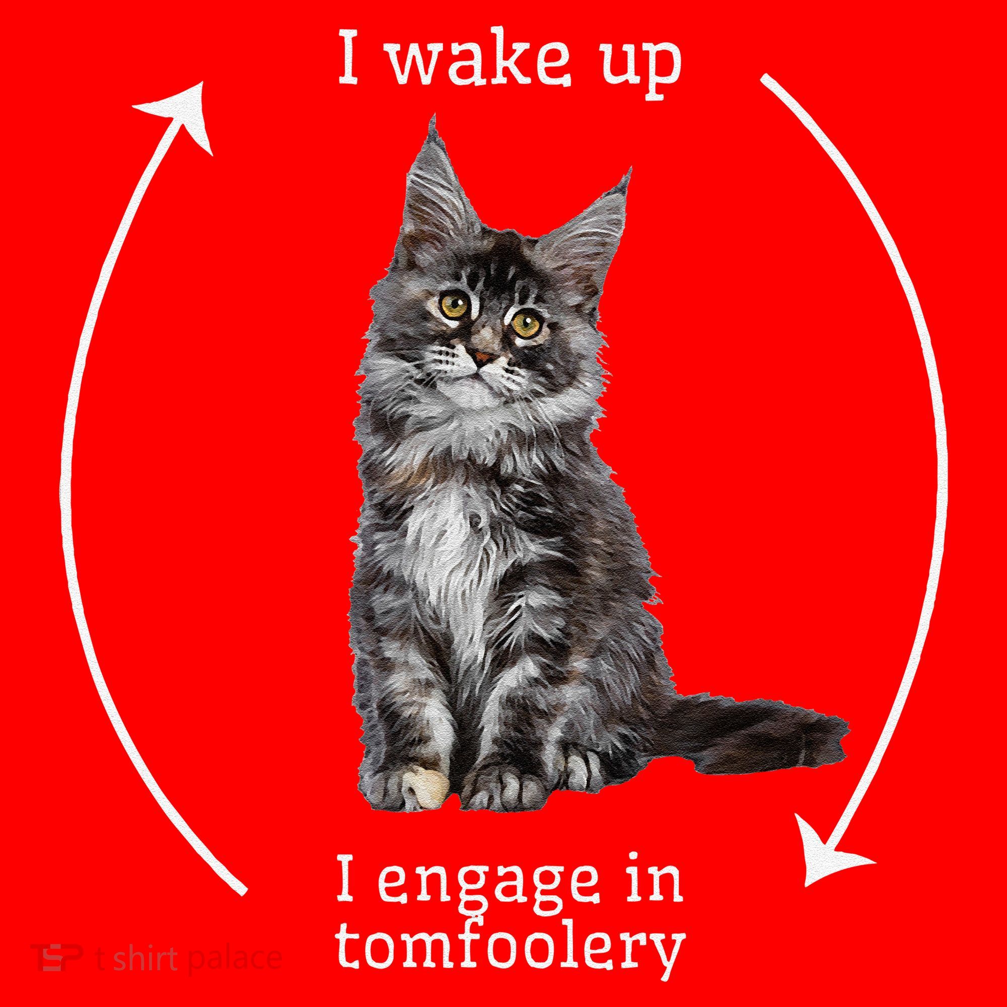 I Wake Up I Engage In Tomfoolery Silly Cat Meme Maine Coon Santa Hat