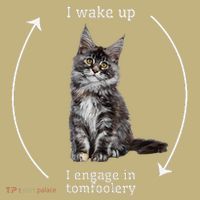 I Wake Up I Engage In Tomfoolery Silly Cat Meme Maine Coon Long Sleeve Shirt thumb 2