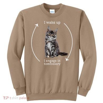 I Wake Up I Engage In Tomfoolery Silly Cat Meme Maine Coon Sweatshirt