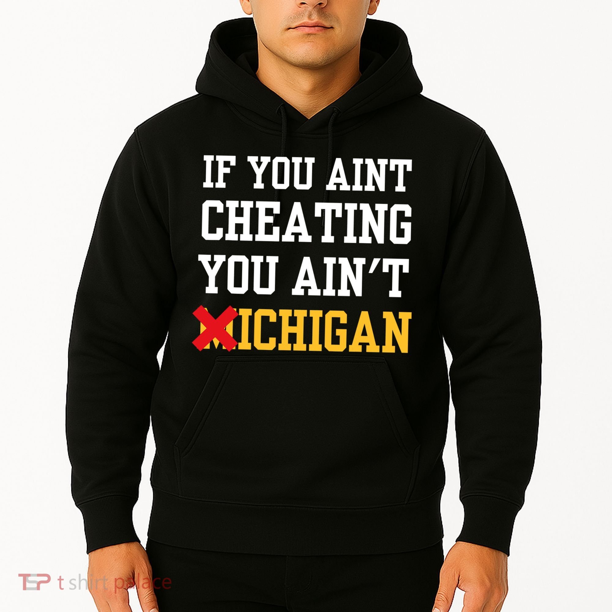 If You Aint Cheating You AinT Michigan Hoodie