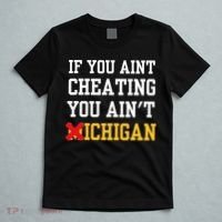 If You Aint Cheating You AinT Michigan T-Shirt thumb 5