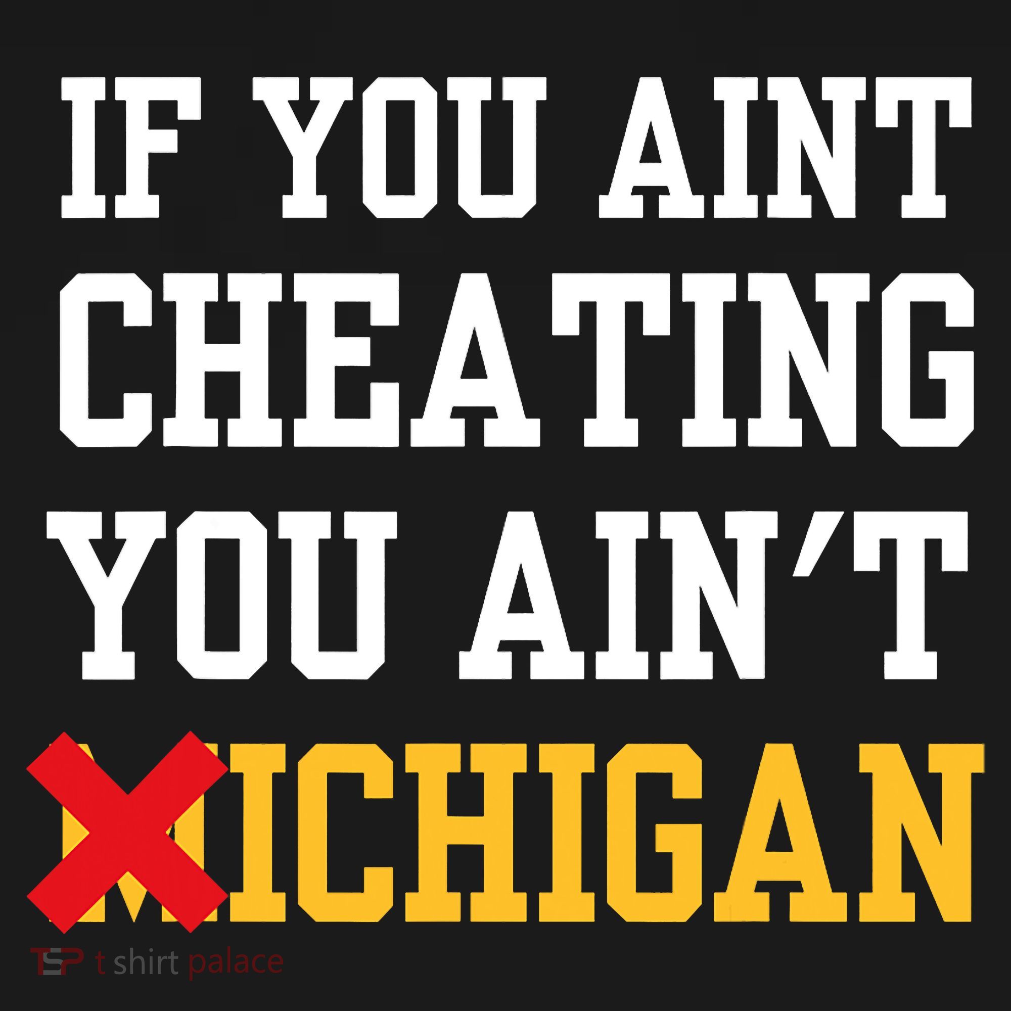 If You Aint Cheating You AinT Michigan Women's Hoodie